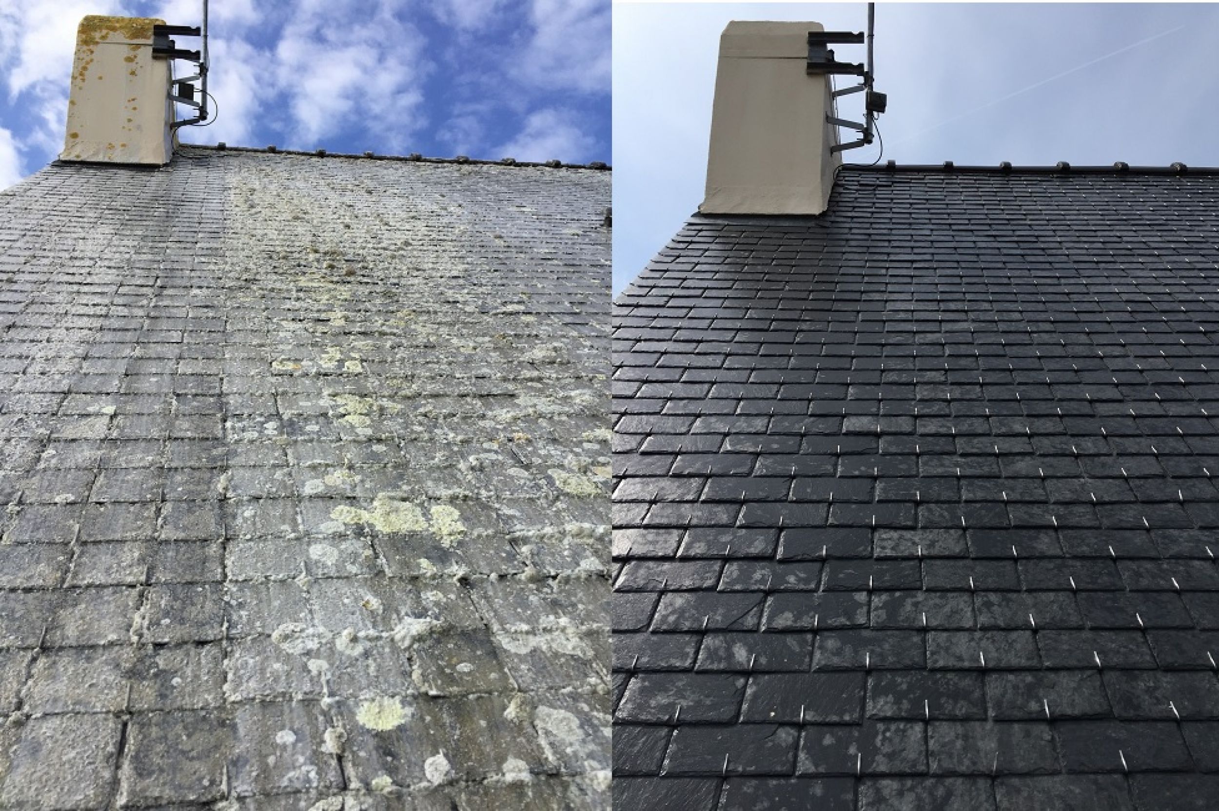 Démoussage Toiture & Façade